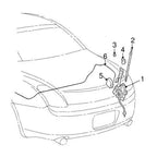 Antenna Rod Mast + Cable for Lexus ES300, SC430, GS300 (2002-2006)