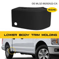 Lower Body Trim Molding for Ford F150 (2021–2022) ML3Z-99292A22-CA