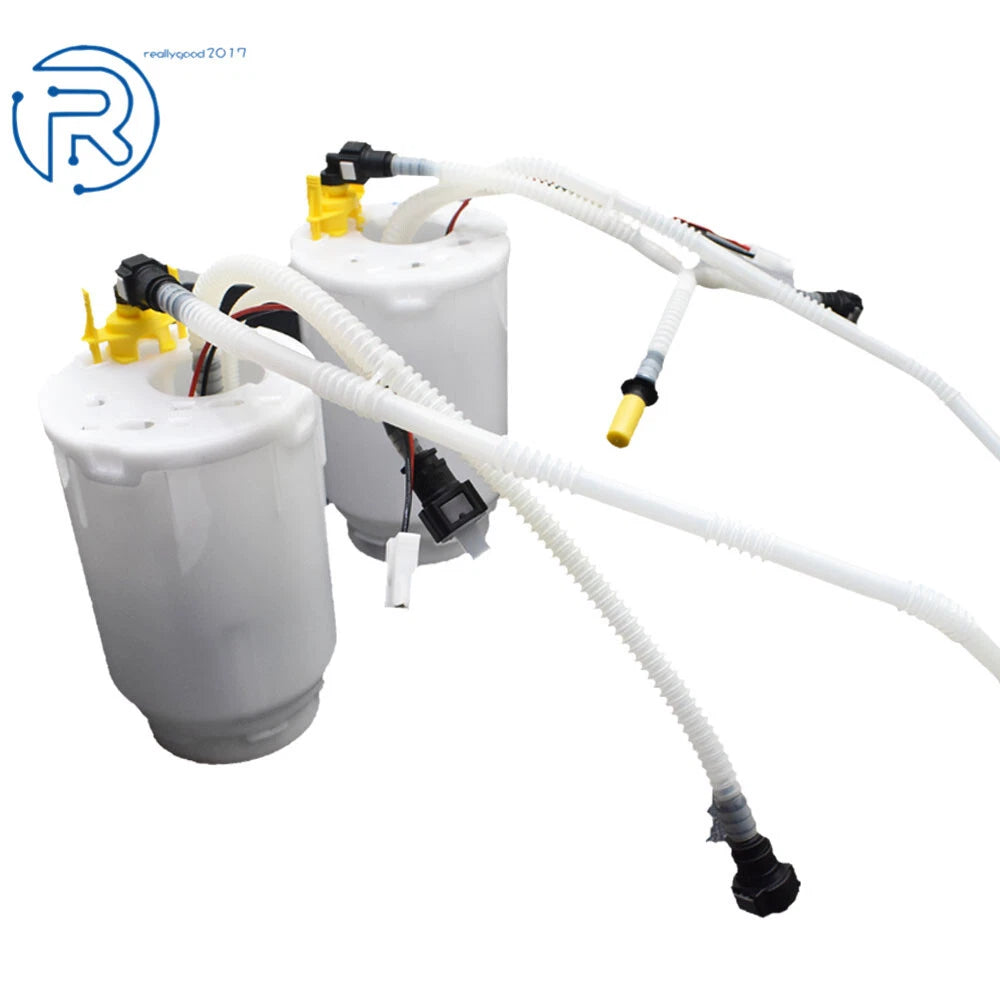 Set of 2 Fuel Pump Assemblies & Filters for Porsche Cayenne (2003-2010)