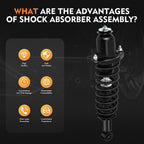 2X Rear Complete Struts Shocks & Springs for Pontiac Vibe (2003-2008)