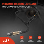 Set of 4 O2 Oxygen Sensors for BMW M3 M4 M2 (2015–2018)