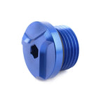 Oil Gas Filler Cap Plug for BMW S1000RR S1000R G310GS (2009-2018) Blue