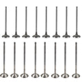 Intake Exhaust Valve Kit for Mini Cooper R56 R60 (2007â2015)