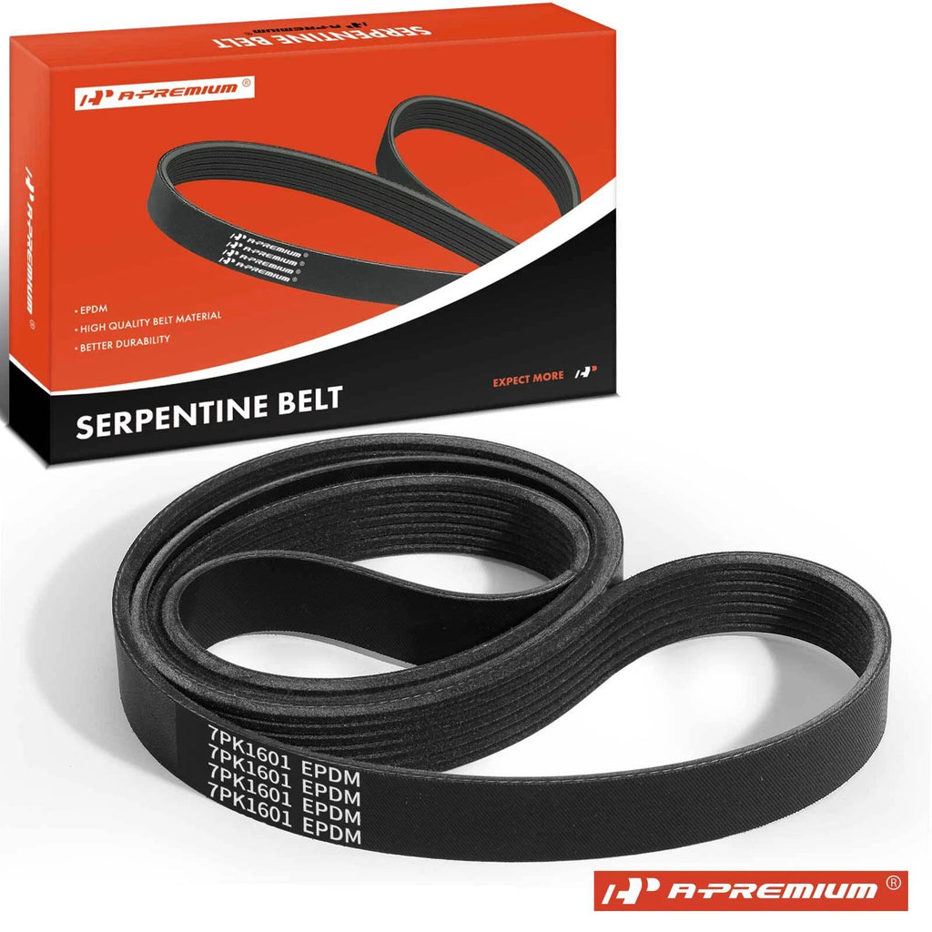 Serpentine Belt for Toyota RAV4 (2001–2003)