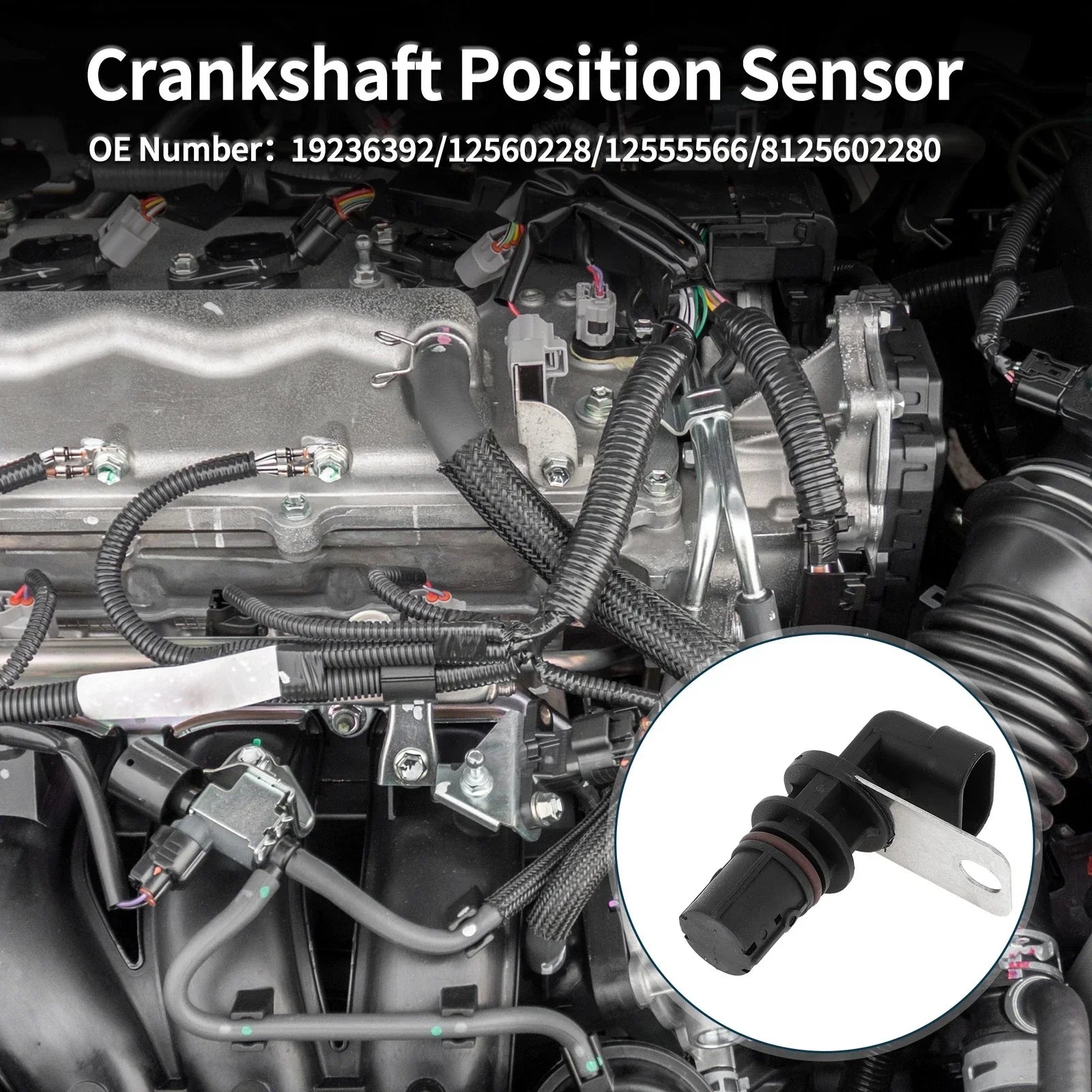 Crankshaft Position Sensor for Chevy Silverado 1500 4.8L 5.3L (1999-2005)