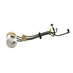 Delphi FG0048 Fuel Pump Module Assembly for Chevrolet Malibu/Oldsmobile Cutlass (2004–2007)