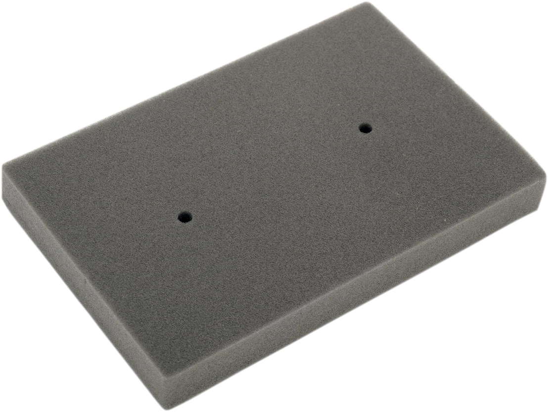 HIFLOFILTRO Air Filter for Kawasaki (HFA2505)