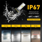 2X LED Fog Light Bulbs