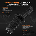 Rear Complete Strut Spring Shock Absorber Assembly for Lexus RX350 (2008-2009)