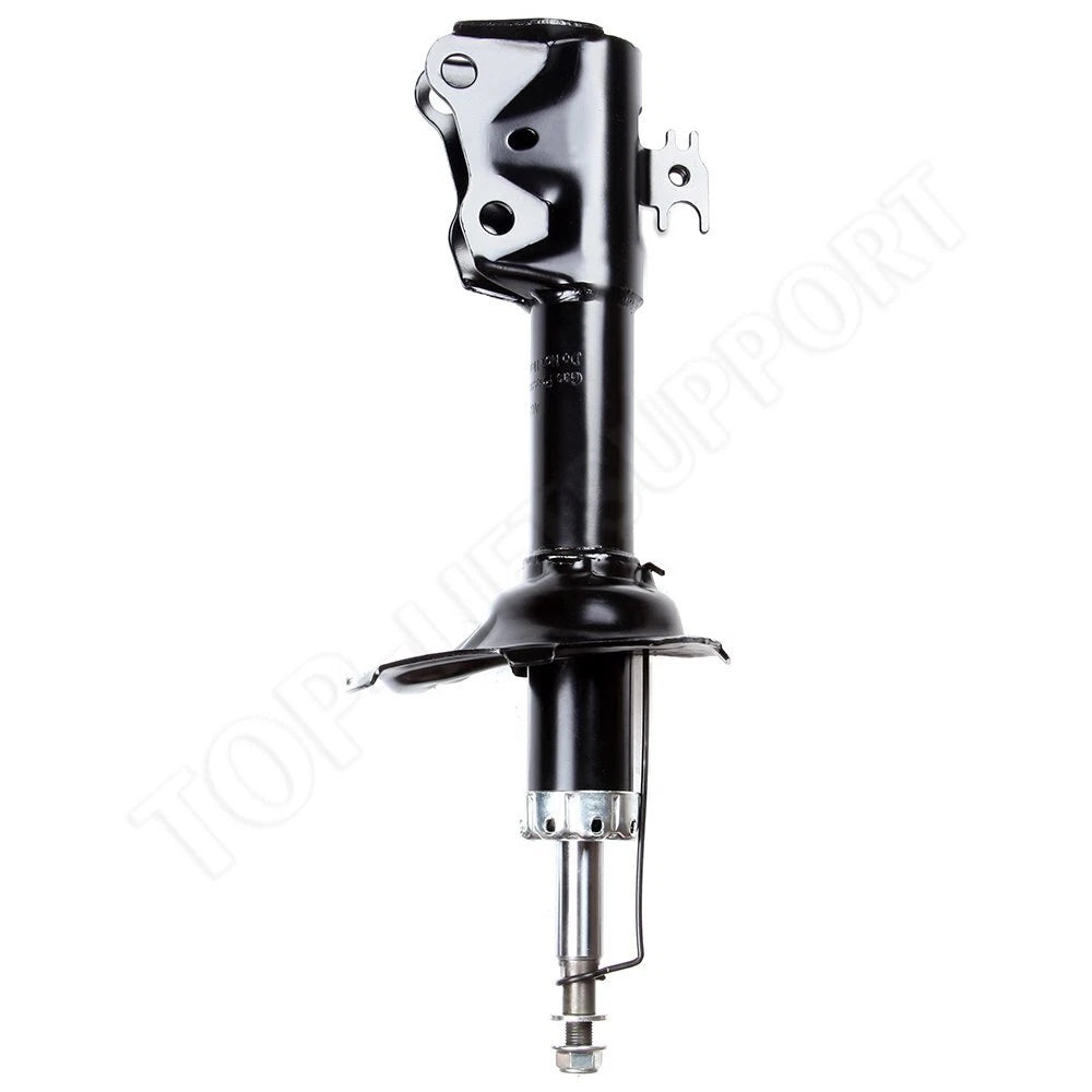 Set of 4 Suspension Struts for Toyota Echo (2000–2005)
