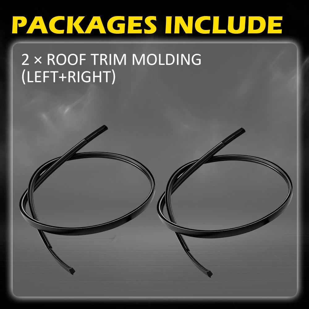 Set of 2 Roof Drip Mouldings Trim for Nissan Sentra (2013–2018)