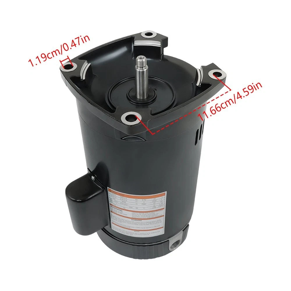 1 HP Pool Motor for Square Flange (115/230V)