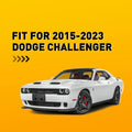 License Plate Mounting Bracket for Dodge Challenger (2015–2023)