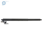 Set of 2 Rear Tailgate Lift Support Struts for Ford Escape (2013–2019)