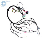 Stand Alone Wiring Harness for LS Truck (1999–2006) with T56 DBC