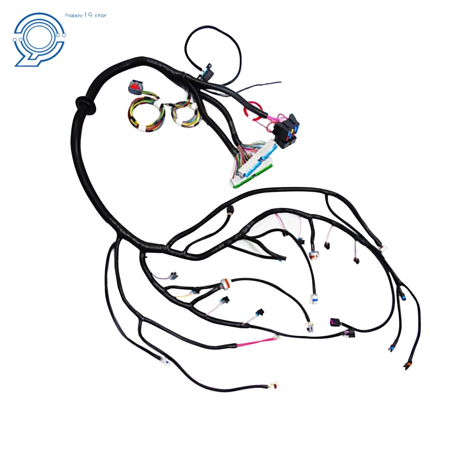 Stand Alone Wiring Harness for LS Truck (1999–2006) with T56 DBC
