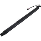 Liftgate Lift Supports for Kia (Driver or Passenger Side)