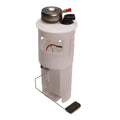 Delphi FG0239 Fuel Pump Module Assembly for Dodge B1500/Ram 1500 (1998–2000)