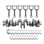 Set of 6 Main Bearings for BMW 535i X3 X6 N55 3.0L (2011–2017)