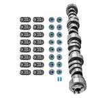 LS9 Camshaft and Valve Springs Kit for LS/LQ 4.8 5.3 5.7 6.0 6.2 (2000–2023)