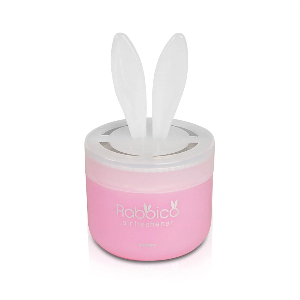 Air Freshener for Car (Diax 90g)