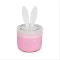 Air Freshener for Car (Diax 90g)