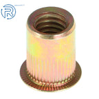 Set of 50 Flat Head Rivet Nuts for Automotive Applications