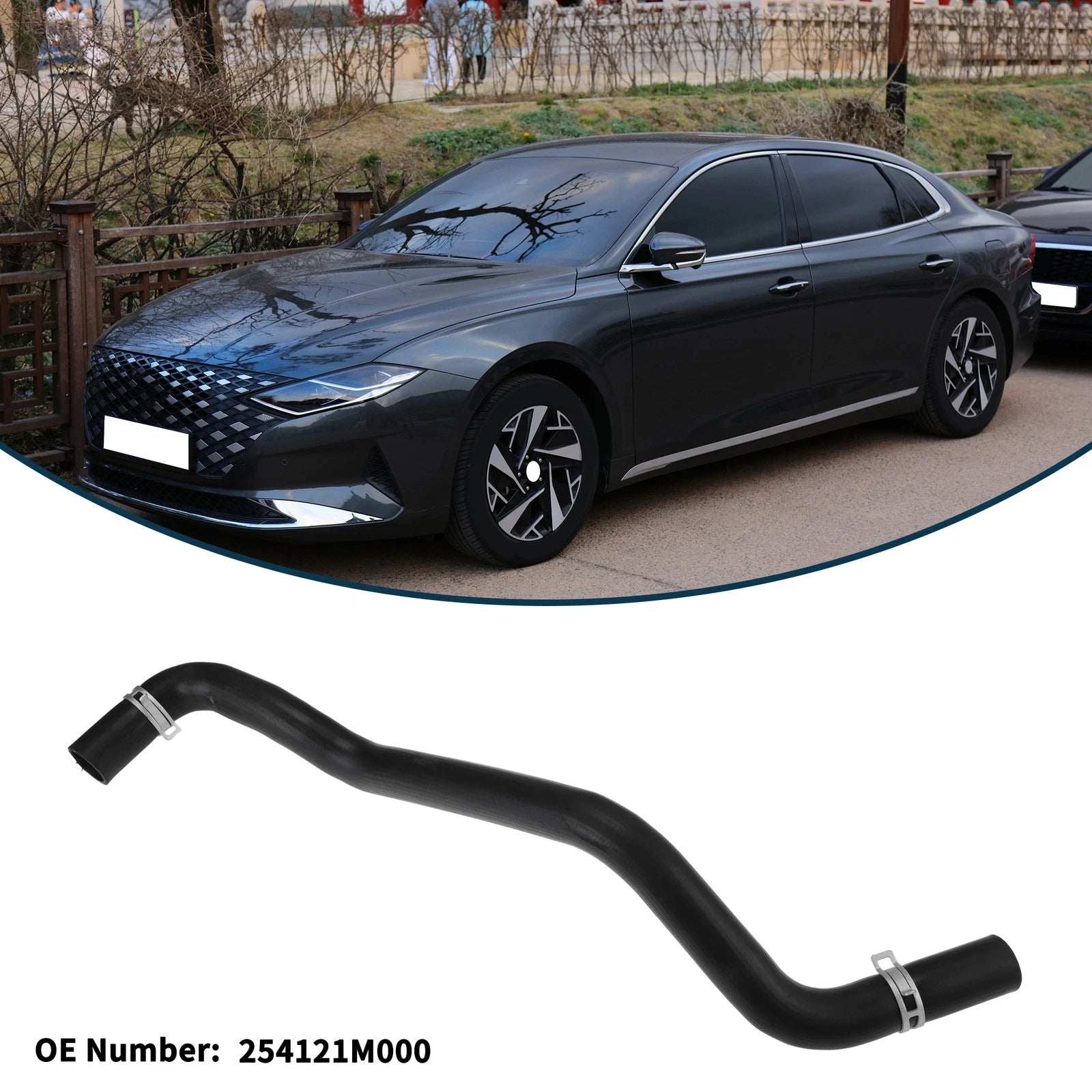 Radiator Hose for Hyundai Grandeur (TG) (2005–2010) No. 254121M000