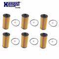 Set of 6 Oil Filters for BMW E202H01D34 (42 7 510 717)