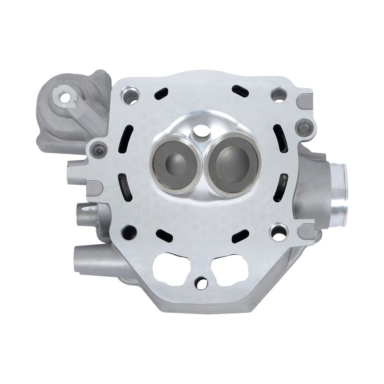 Rebuild Kit for Honda TRX420 (2007–2014)