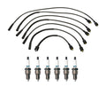 Denso 7mm Wire Set & 6 Iridium TT Spark Plugs for Dodge 3.9L V6 (1996–2003)
