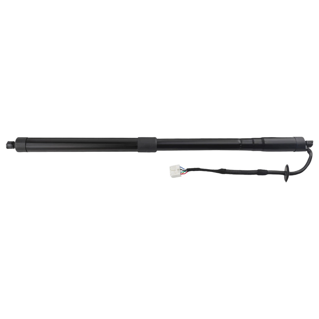 2X Rear Trunk Liftgate Struts for Nissan Rogue 2014–2019