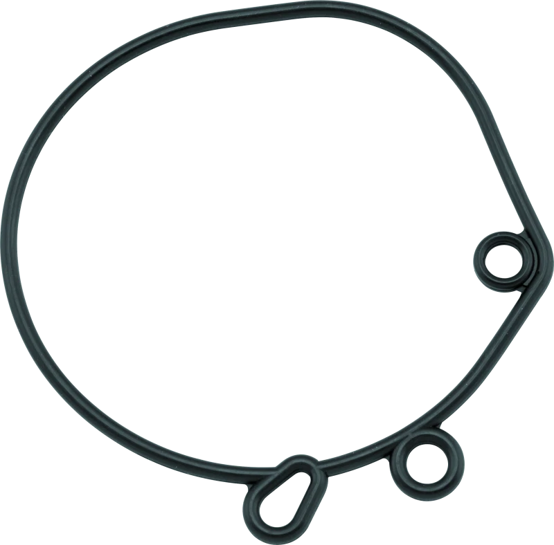 Set of 2 Float Bowl O-Rings for Harley-Davidson Big Twin XL (1984–1989)