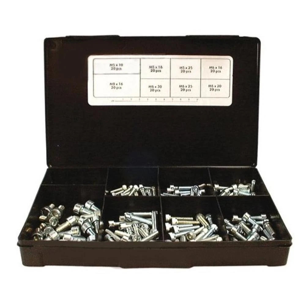 160 Piece Allen Head Metric Screw Kit for Various Applications
