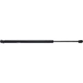 Lift Support for Dodge Nitro (2007–2011)