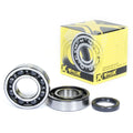 Crankshaft Bearing & Seal Kit for Kawasaki KX250F (2004–2013)