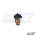 WSM Thermostat for Mercury/Nissan/Johnson 2.5-6 Hp