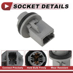License Plate Light Socket for Hyundai Elantra 2001-2003 (1 x Socket)