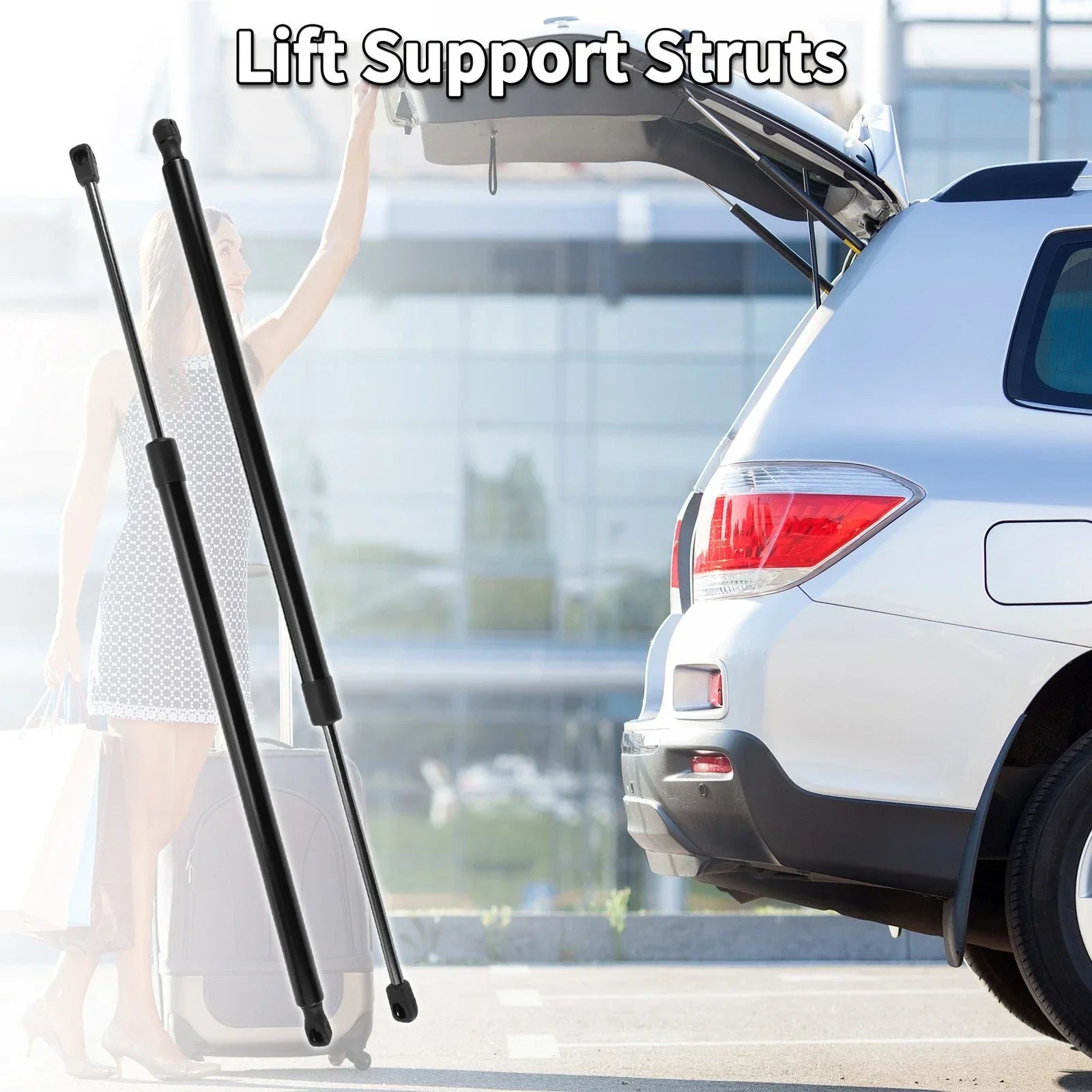 Rear Gate Lift Supports for Chrysler Town & Country (2008-2016)