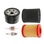 Air Filter Kit and Oil Filter for 547cc Riding Lawn Tractors (LT42, LT46)