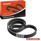 Serpentine Belt for Nissan Sentra, Maxima, Ford Escort