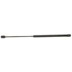 Lift Support for Ford Mustang (1994–2004) Gas-Charged Trunk Lid