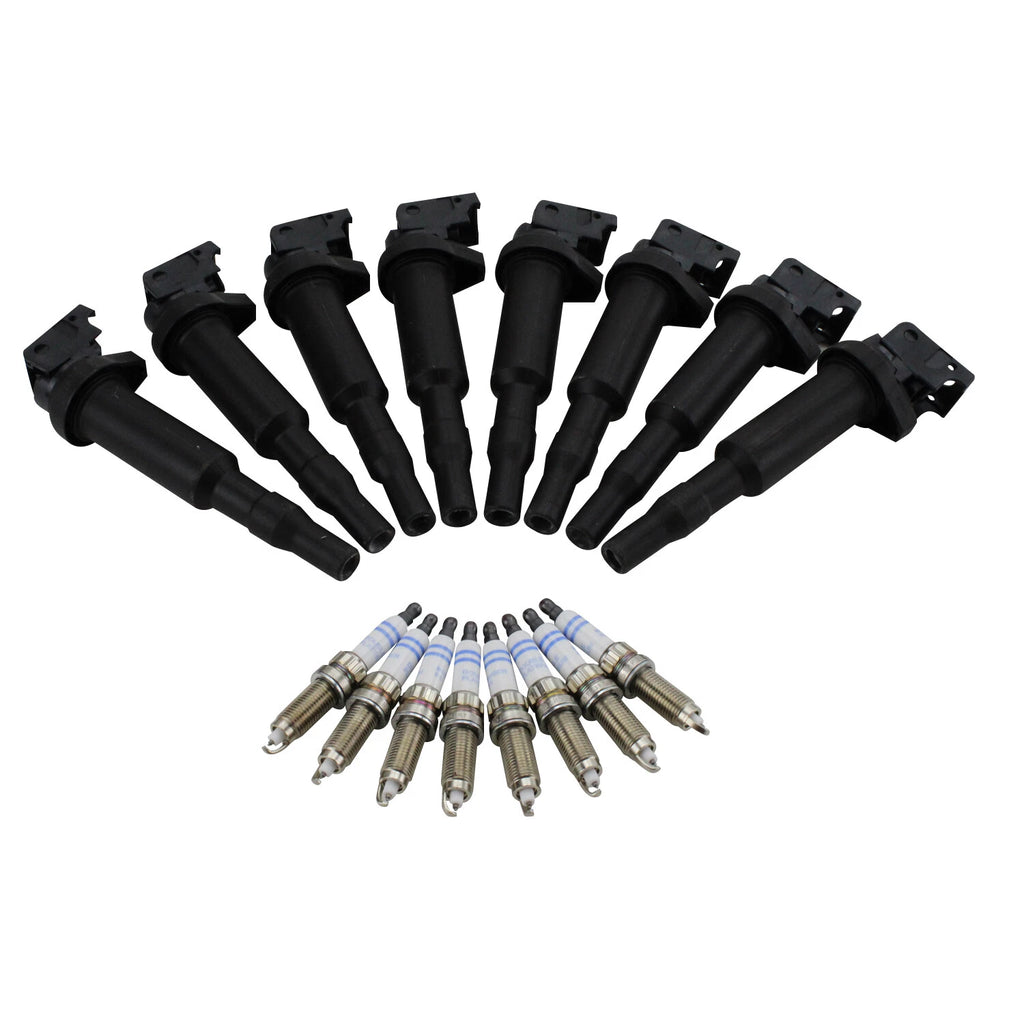 Set of 8 Ignition Coils & Double Platinum Spark Plugs for BMW 4.4 V8 N63 S63