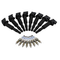 Set of 8 Ignition Coils & Double Platinum Spark Plugs for BMW 4.4 V8 N63 S63