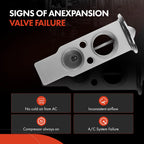 A/C Expansion Valve for Chrysler Aspen, Dodge Durango (2007-2008)