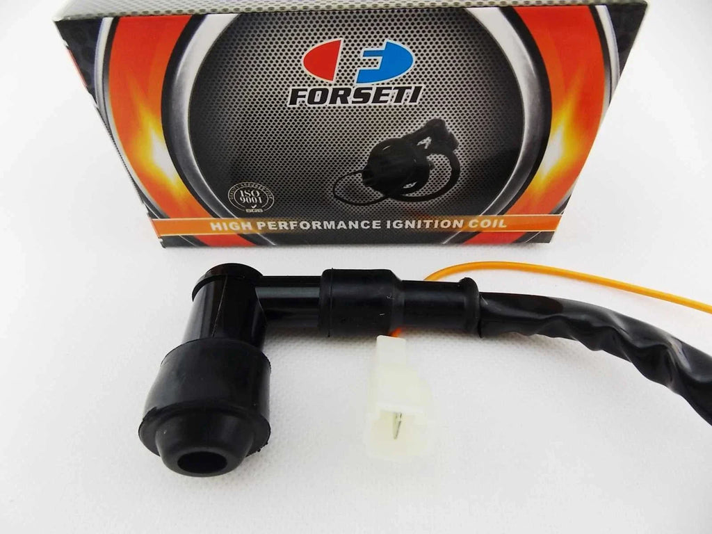 Ignition Coil Spark Plug Cap Assembly for JIANSHE JS80PY