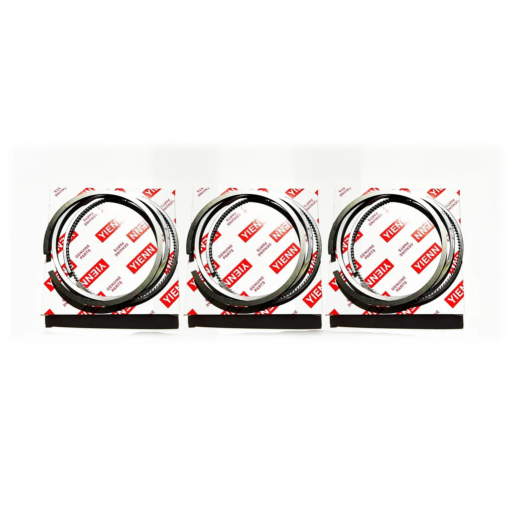 Overhaul Rebuild Kit for Thermo King TK3.95 TK395