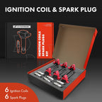 Set of 6 Ignition Coils & 6 Iridium Spark Plugs for Honda Accord Acura TL