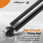 Complete Front Rear Strut Assembly for Dodge Ram 1500 4WD (1994–2001)