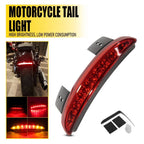 LED License Plate Tail Light for Harley Davidson Softail Slim (2012–2023)